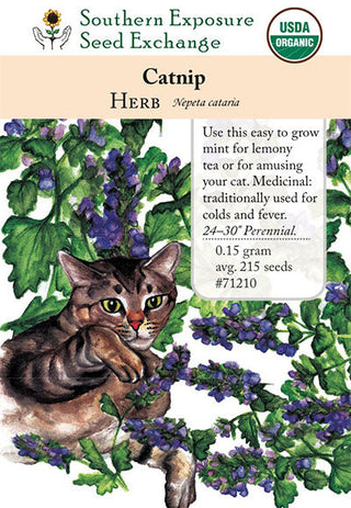 71210 - Catnip