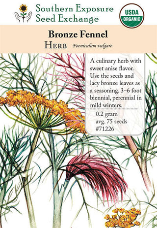 71226 - Fennel, Bronze