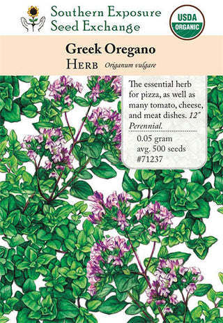71237 - Oregano, Greek