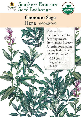 71241 - Sage, Common
