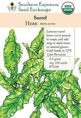 71246 - Sorrel, Garden
