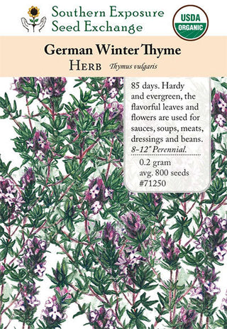 71250 - Thyme, German Winter