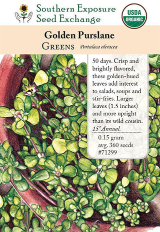 71299 - Purslane, Golden