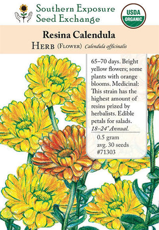 71303 - Calendula, Resina