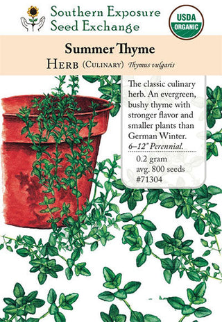71304 - Thyme, Summer