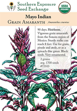 72103 - Mayo Indian Amaranth