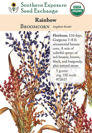 72615 - Rainbow Broomcorn