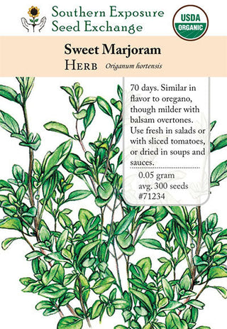 71234 - Marjoram, Sweet