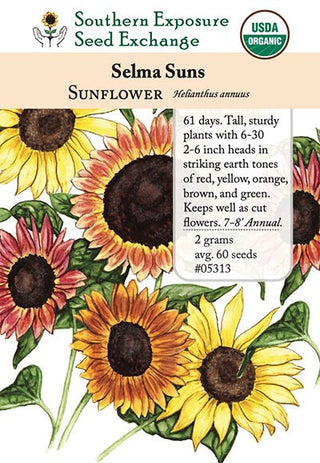 05313 - Selma Suns