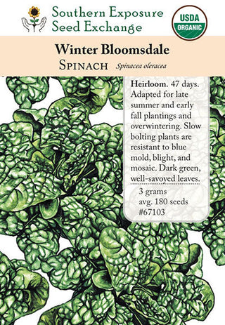 67103 - Winter Bloomsdale