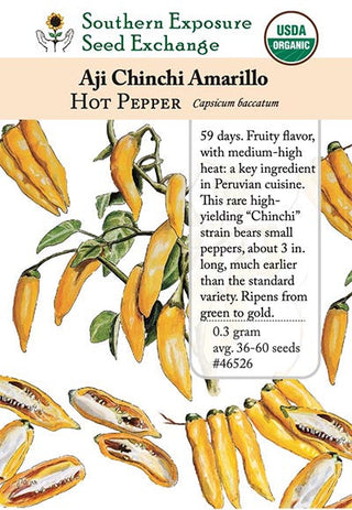 46526 - Aji Chinchi Amarillo Hot Pepper