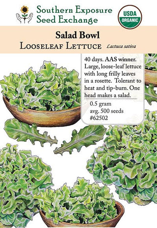 62502 - Salad Bowl