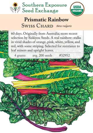 32952 - Prismatic Rainbow Chard