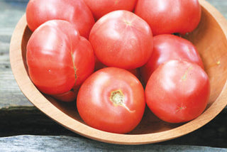 Big Rainbow TOMATO .16g seed