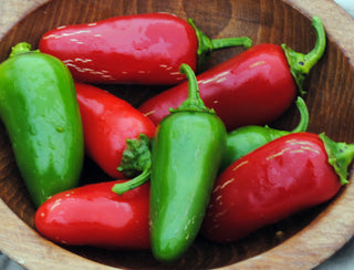 46508 - Jalapeño