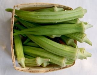 69109 - Burmese