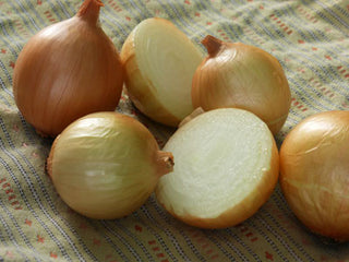 66104 - Texas Early Grano