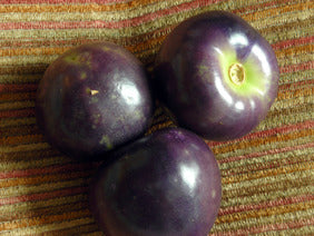 48105 - Purple Tomatillo