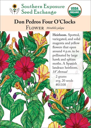 01108 Don Pedros Four O'Clocks