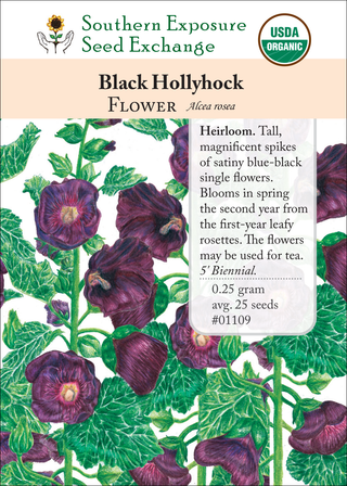 01109 Black Hollyhock