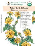 01123 - Tithonia, Yellow Torch