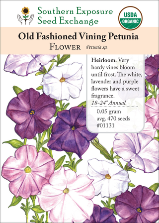 01131 Old Fashioned Vining Petunia