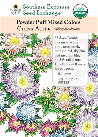01133 - Aster, Powder Puff Mixed Colors