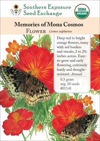 01141 Memories of Mona Cosmos