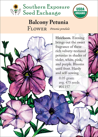 01157 Balcony Petunia