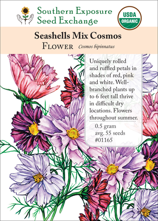 01165 Seashells Mix Cosmos