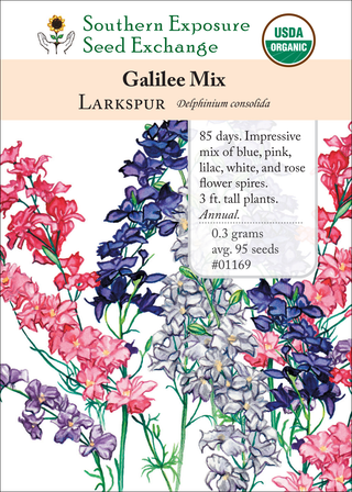 01169 Galilee Mix