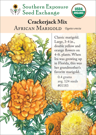 01183 crackerjack mix african marigold flower