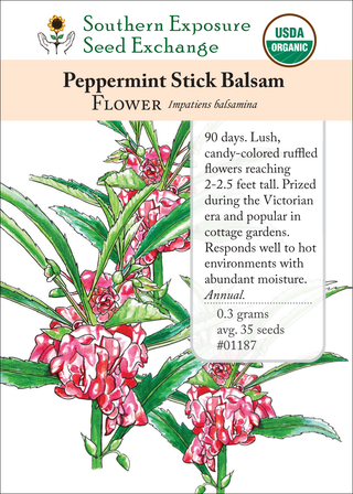 01187 - Peppermint Stick Balsam
