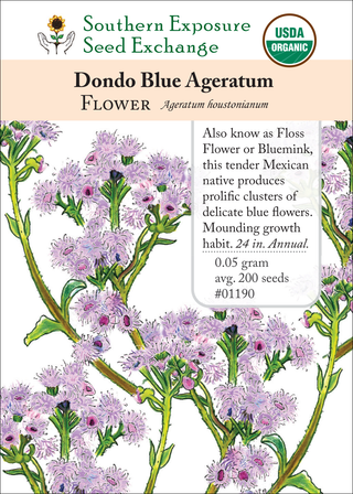 01190 - Ageratum, Dondo Blue