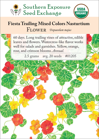 01205 Nasturtium Fiesta Trailing