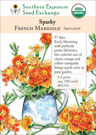 01218 - French Marigold, Sparky