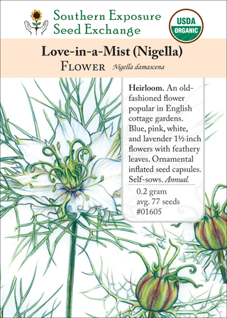 01605 Love-in-a-Mist (Nigella)