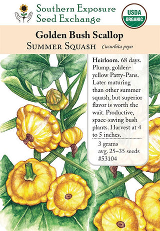 53104 - Golden Bush Scallop