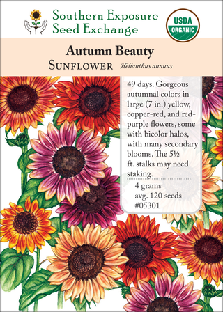 05301 Autumn Beauty