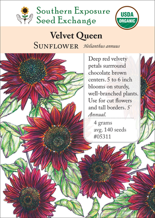 05311 Velvet Queen