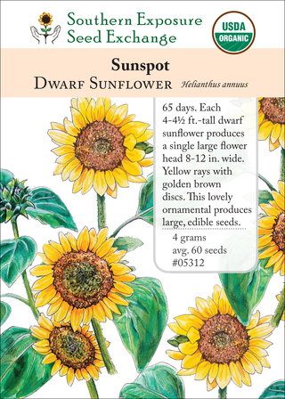 05312 sunspot sunflower