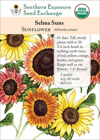 05313 Selma Suns