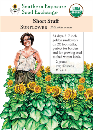 05314 Short Stuff