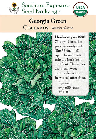 24101 - Georgia Green