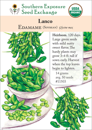 11503 Lanco