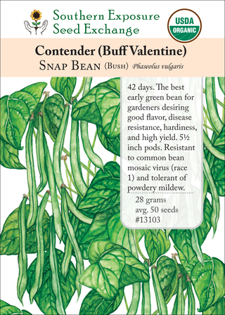 13103 Contender (Buff Valentine)