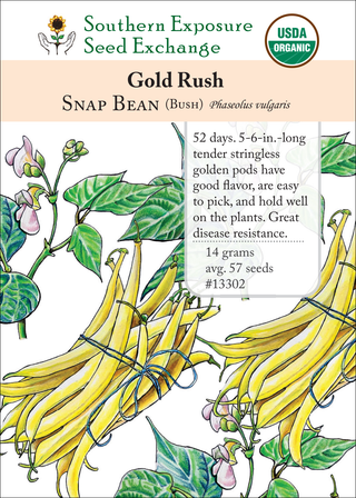 13302 gold rush snap bean