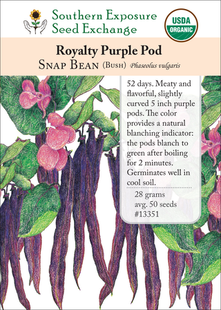 13351 Royalty Purple Pod