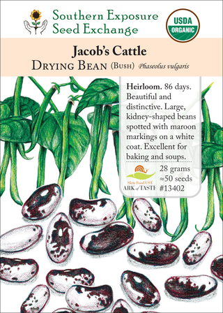 13402 Jacob's Cattle