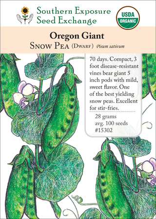 15302 Oregon Giant